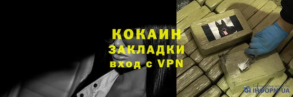 гашик Гусь-Хрустальный
