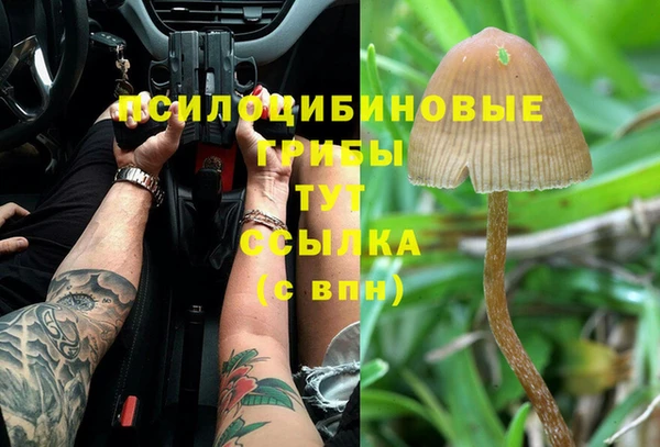 гашик Бугульма